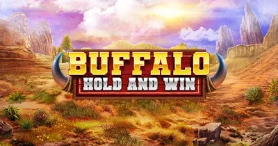 Buffalo Hold and Win