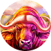 Buffalo Hold and Win